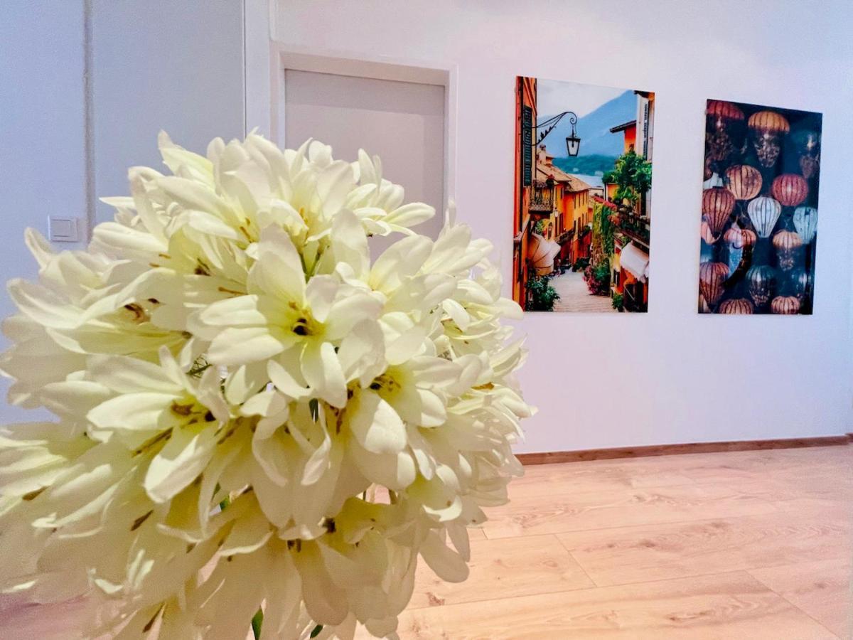 Colorful & Quiet Apartment In Beautiful Viennese Building المظهر الخارجي الصورة